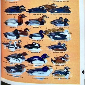 2 Handbook of California Birds Hawaii's Birds Audubon Society Animals Bird Lover